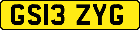 GS13ZYG