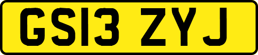GS13ZYJ