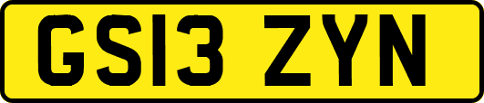 GS13ZYN