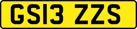 GS13ZZS