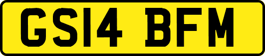 GS14BFM