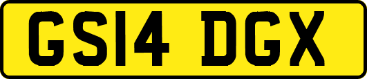 GS14DGX