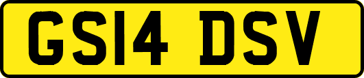 GS14DSV