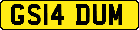 GS14DUM