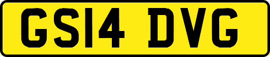GS14DVG