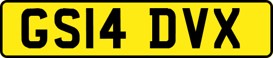 GS14DVX
