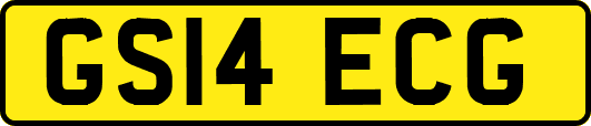 GS14ECG