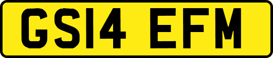 GS14EFM