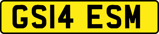 GS14ESM