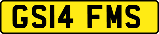 GS14FMS