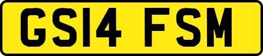 GS14FSM