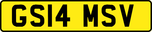 GS14MSV