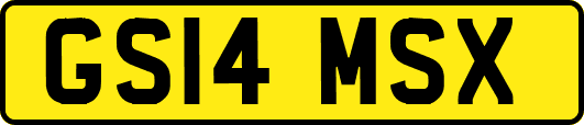 GS14MSX