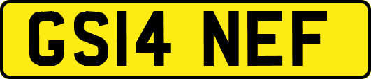 GS14NEF