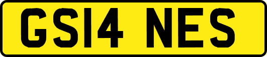 GS14NES