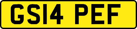 GS14PEF