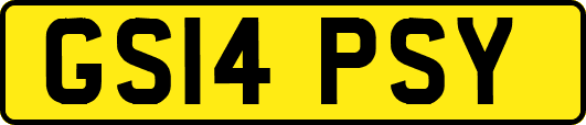 GS14PSY