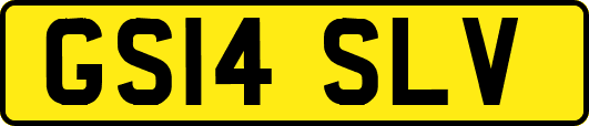 GS14SLV