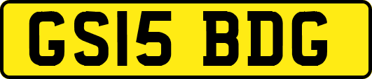 GS15BDG