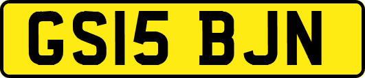 GS15BJN