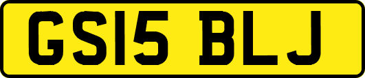 GS15BLJ