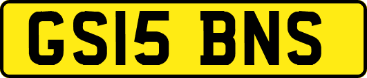 GS15BNS