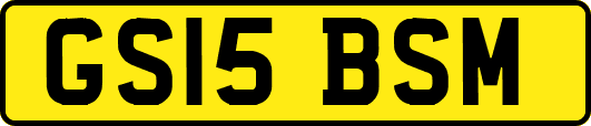GS15BSM