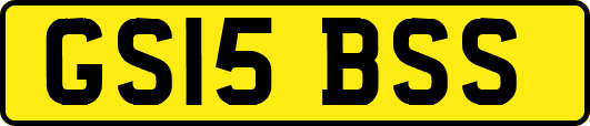 GS15BSS