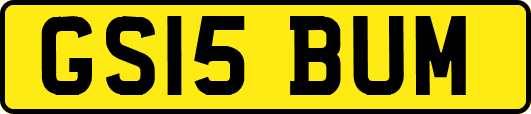 GS15BUM