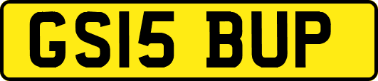 GS15BUP