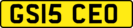 GS15CEO