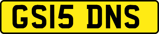GS15DNS