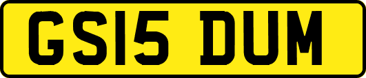 GS15DUM