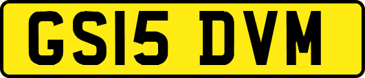 GS15DVM