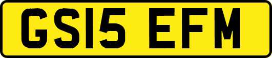 GS15EFM