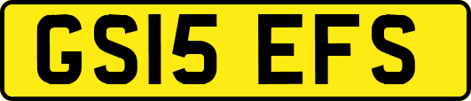 GS15EFS