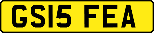 GS15FEA
