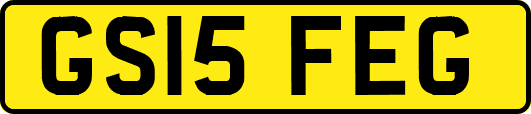 GS15FEG