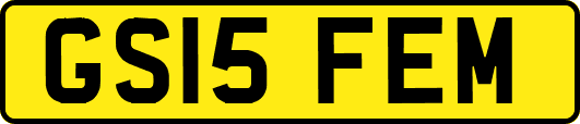 GS15FEM