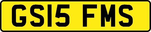 GS15FMS