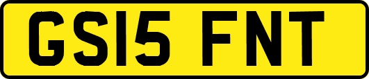 GS15FNT