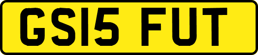 GS15FUT