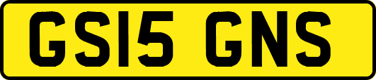 GS15GNS