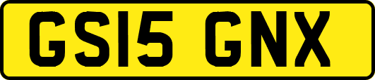 GS15GNX