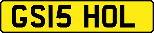 GS15HOL