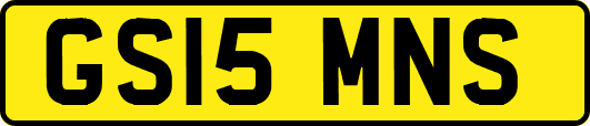 GS15MNS