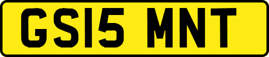GS15MNT