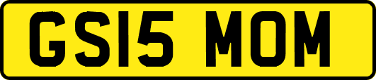 GS15MOM