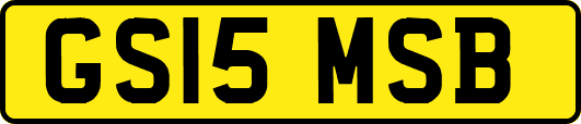 GS15MSB