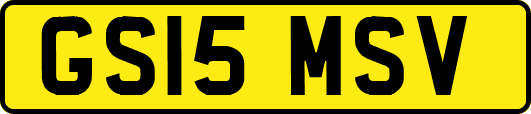GS15MSV